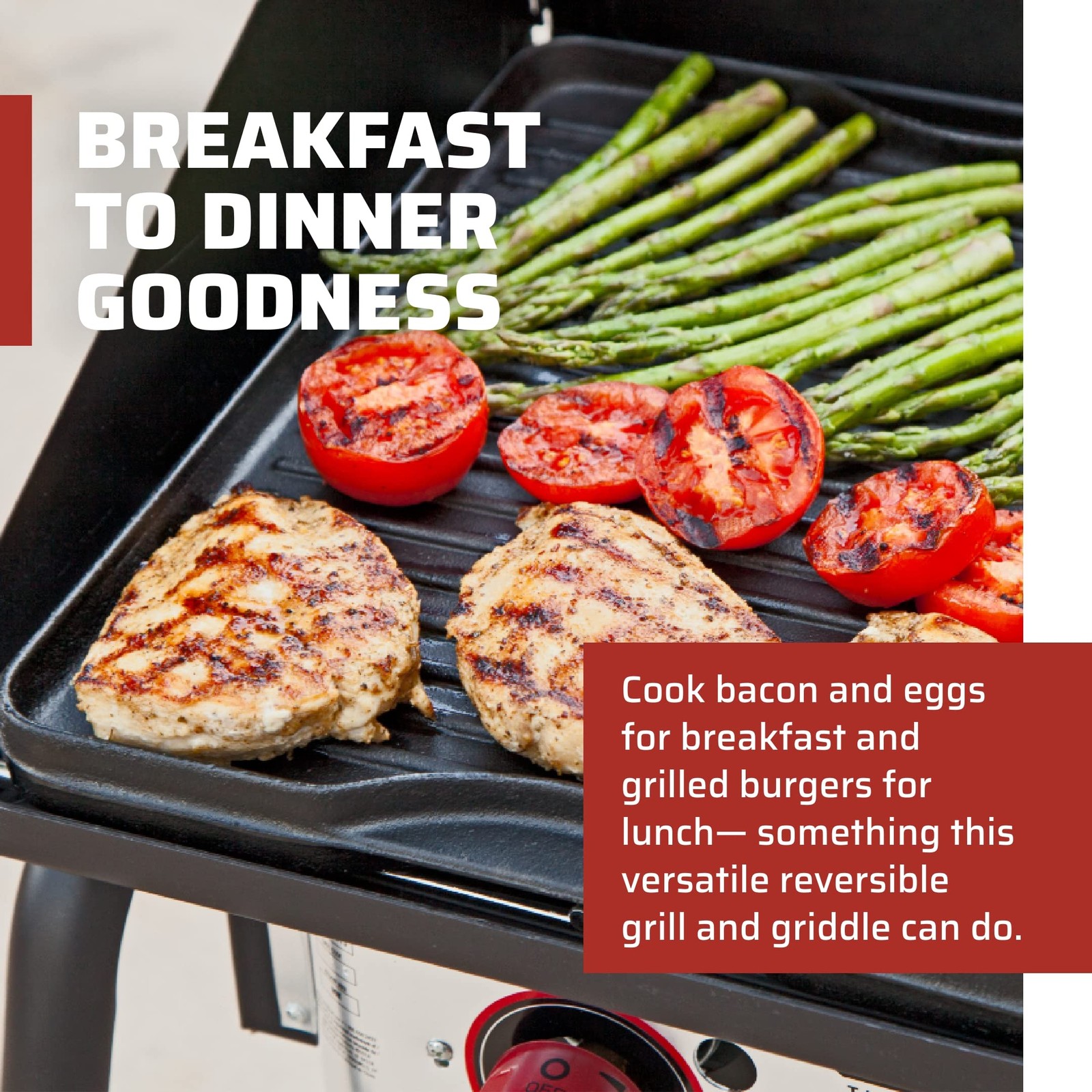 Camp Chef Reversible Pre-Seasoned Cast Iron Griddle, Cooking Surface 14 In. X