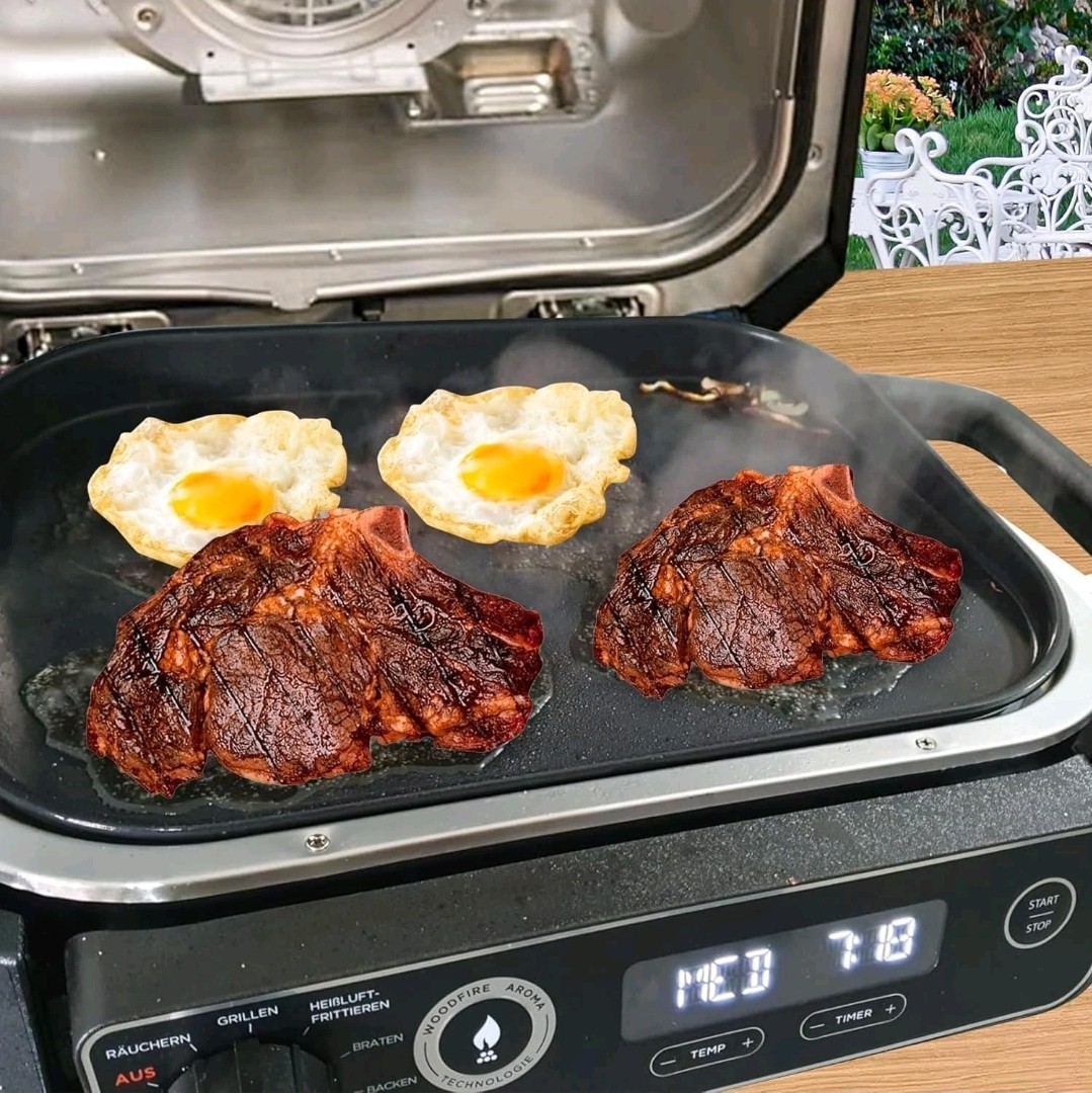 Grill Griddle Plate XSKGRIDLXL Griddle Pan for Ninja Woodfire Pro XL OG800 OG900