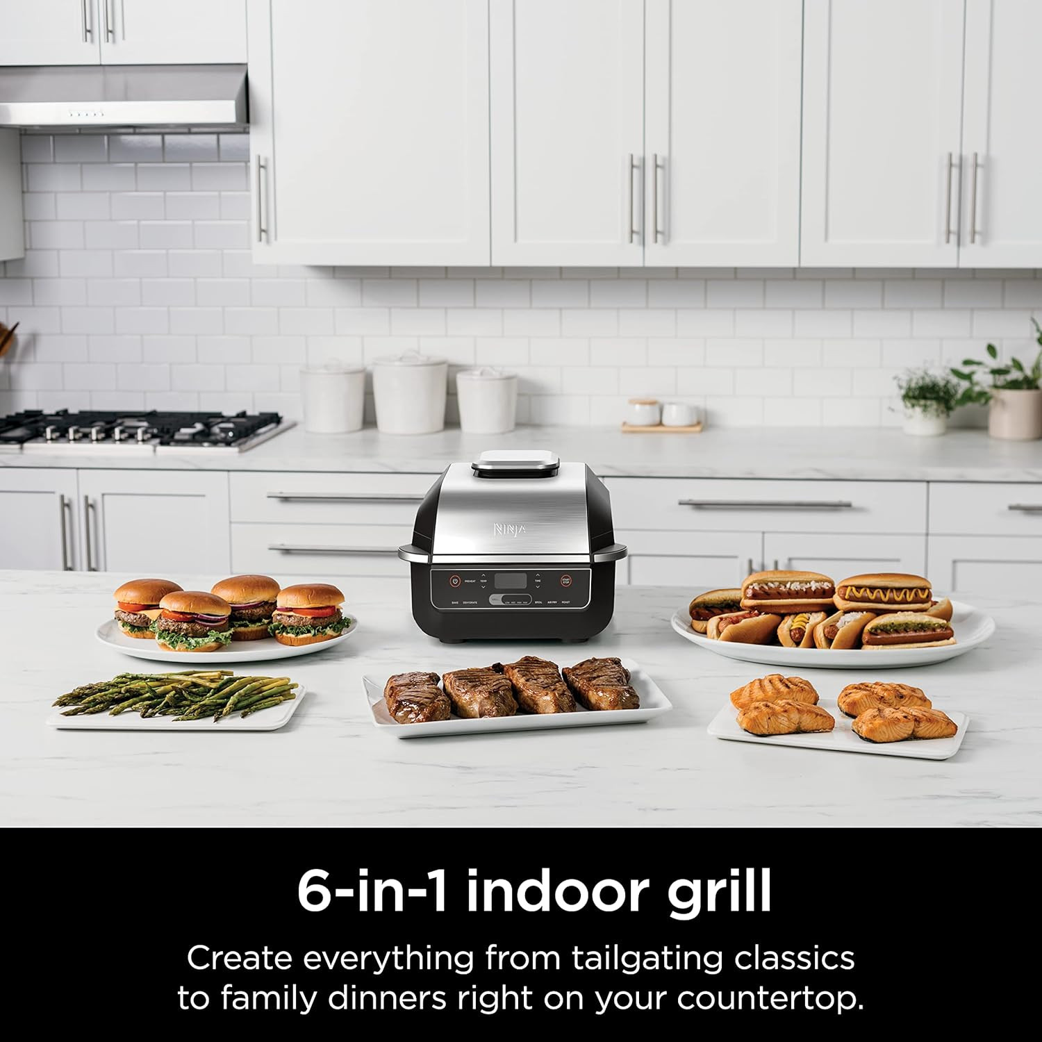 EG201 Foodi 6-In-1 Indoor Grill with Air Fry, Roast, Bake, Broil, & Dehydrate, 2