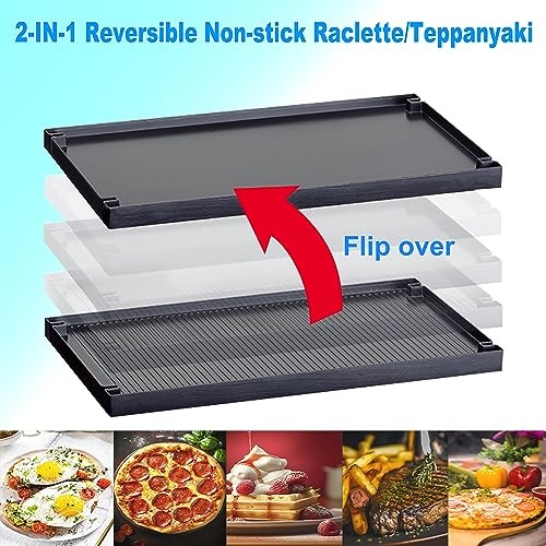 TAMARIT Raclette Party Grill Indoor Electric Korean BBQ 2 in 1