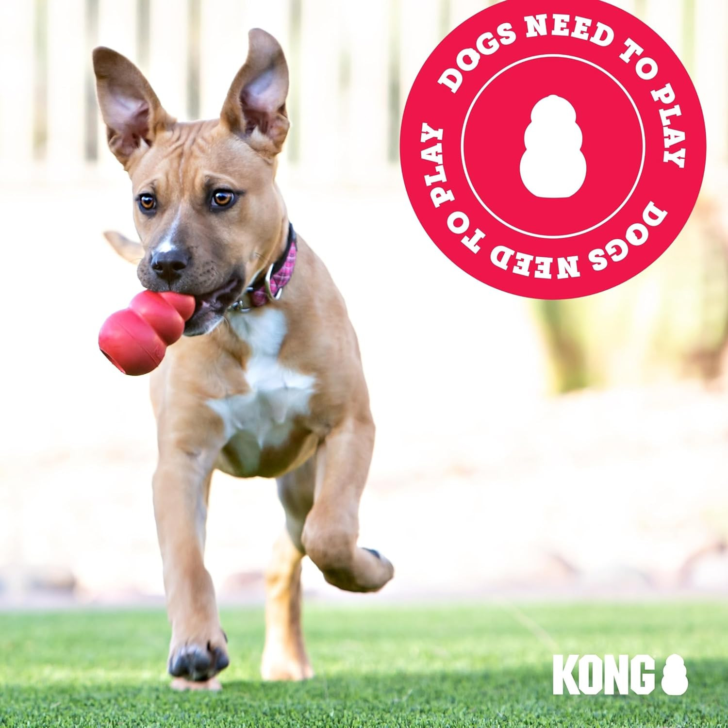 KONG Wubba Finz Dog Toy for Tug of War & Fetch Blue, Small