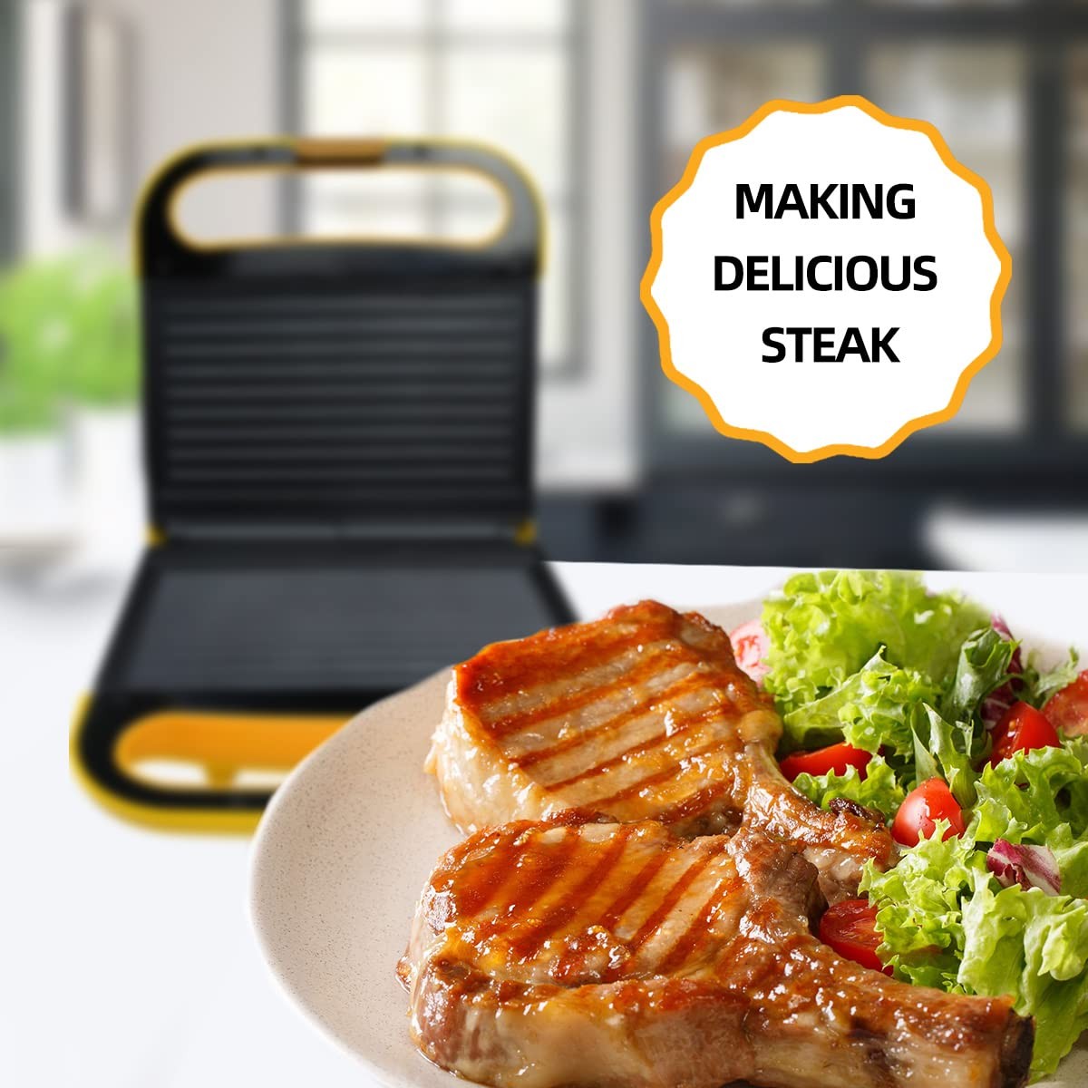 Electric Indoor Grill Panini Press 2 Serving Capacity – Nonstick Plates