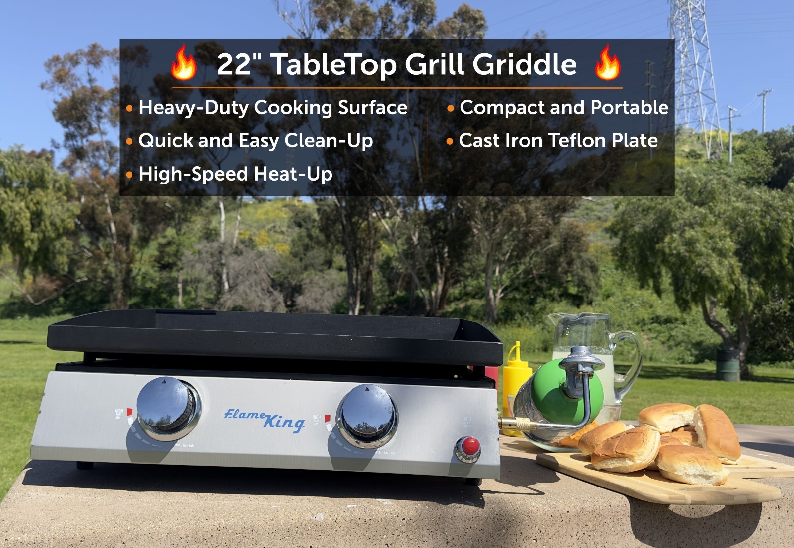 22 inch 2-Burner Propane Tabletop Griddle, Heavy Duty Flat Top Cast Iron